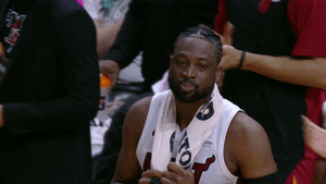 Miami Heat Applause GIF by NBA
