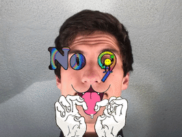 Cat No GIF