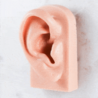 ear piercing GIF by SpiritAdornments