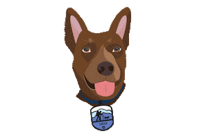 I Love My Dog Sticker by QALO