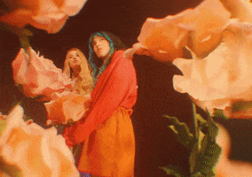 Flowers Vinyl GIF by Daisy The Great