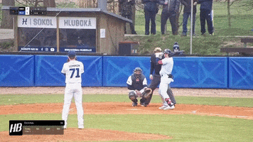 Baseball GIF