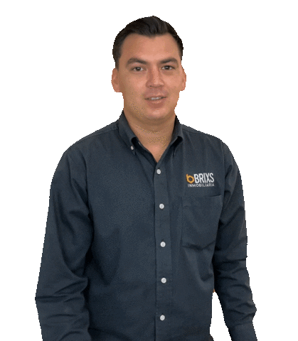 Team Yes Sticker by BRIXS