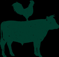 Restaurant Meat GIF