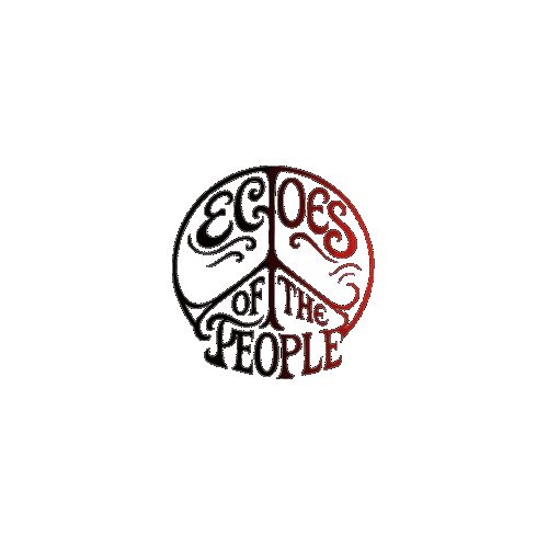 Festival Echoes Sticker by Conecto