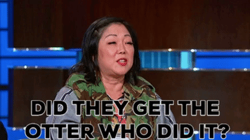 200.gif?cid=fc005b08445f64197f741a1a69bf0ad634a249d479bd0b48&rid=200.gif&ct=g