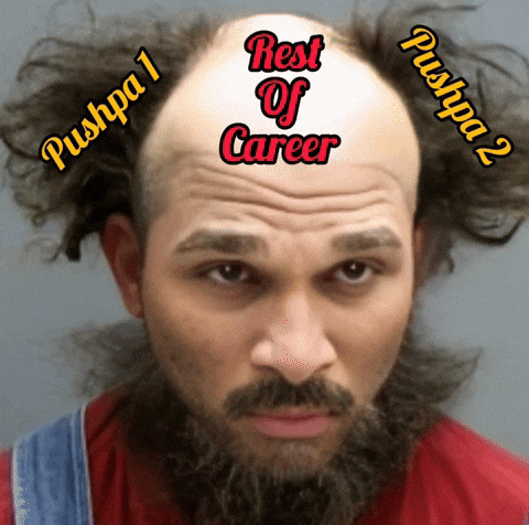 Allu Arjun Pushpa GIF