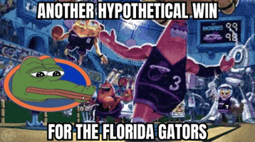 Miami Hurricanes Florida GIF