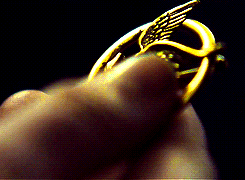 the hunger games cf GIF