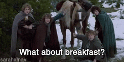 Movie gif. The hobbits in The Lord of the Rings all hang around a horse, looking tired. The one leaning on the horse says, “What about breakfast?”