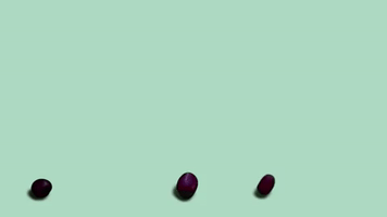 halo grapes GIF by Terror Jr