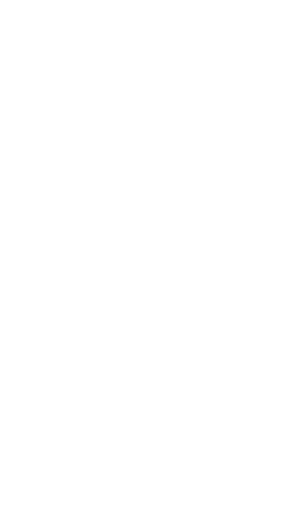 Walking Sticker