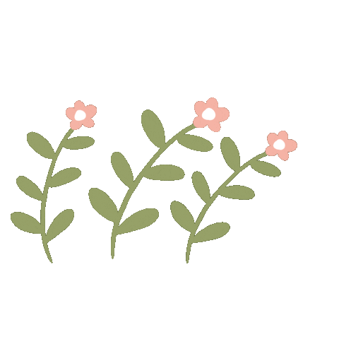 Flowers Rose Sticker