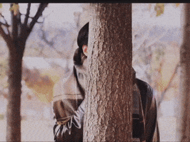 Rocky GIF