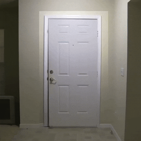 Bust Down Big Bird GIF