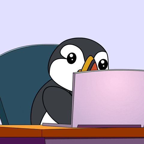 Puffins GIF