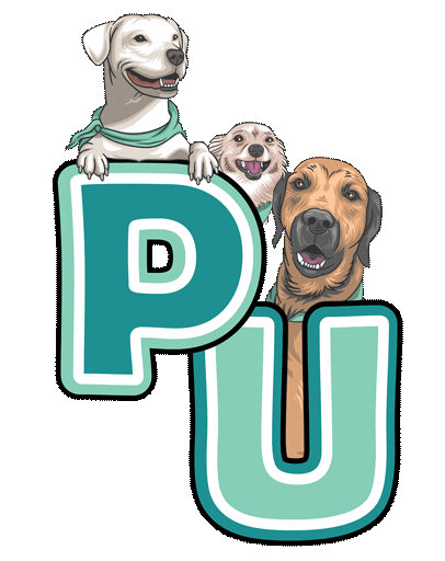 Pawsome University Sticker