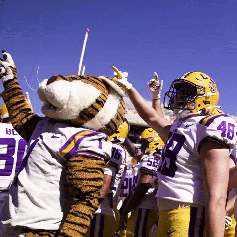 Death Valley Win GIF by LSU Tigers