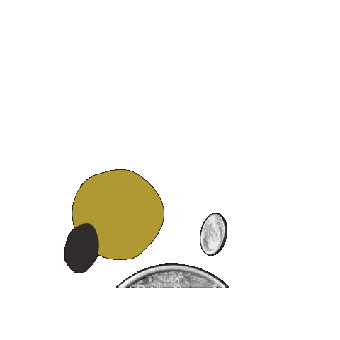Money Coins Sticker