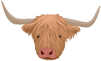 Highland Cow Scotland Sticker