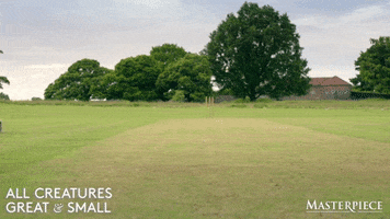 Lets Go Running GIF by MASTERPIECE | PBS