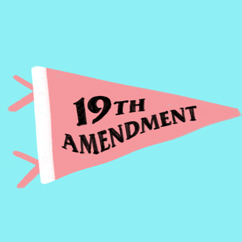 Digital art gif. Pink pennant waves over a light blue background with the message “19th Amendment.”