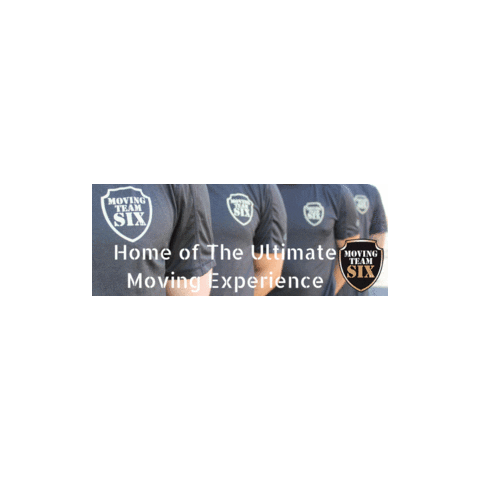 Mt6 Sticker by movingteamsix