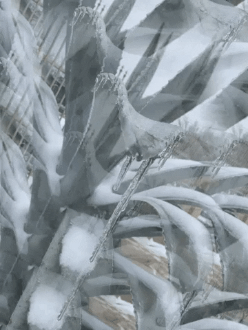 Travbeat GIF