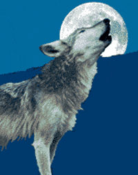 Featured image of post Cool Backgrounds Gif Wolf