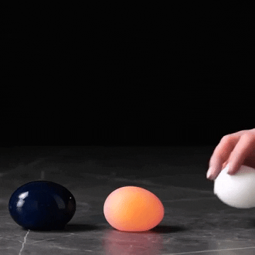 Egg GIF
