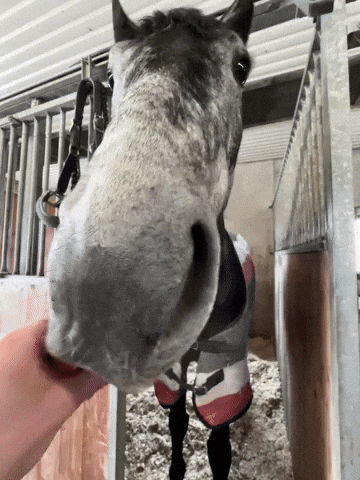 Yummy GIF