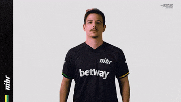 Lets Go GIF by MIBR