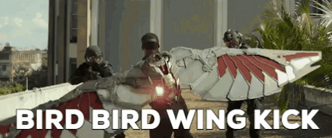 Falconmeetsonepiece GIF