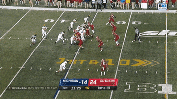Michigan Football GIF