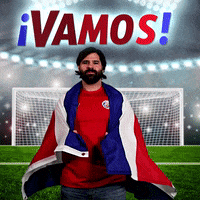 Vamos Costa Rica GIF by World Cup