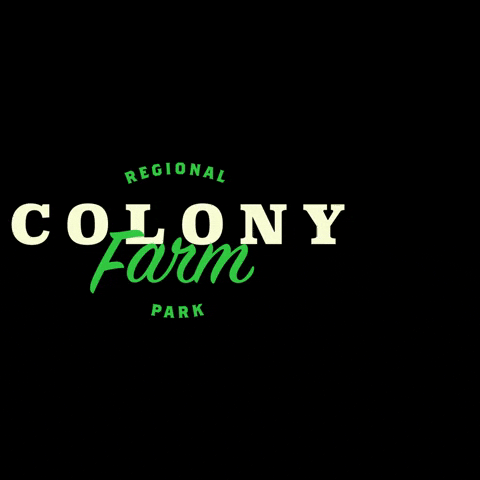 metrovancouverbc GIF