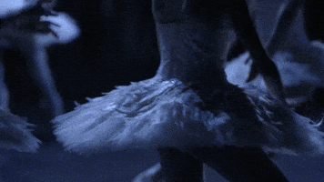 swan lake dancing GIF