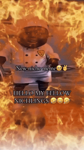 Niche New Meme GIF