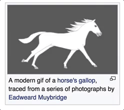 horse wikipedia GIF by MANGOTEETH