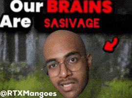 Sasivage GIF