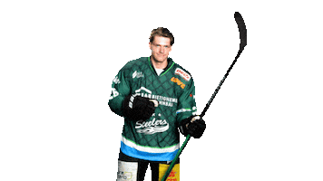 Bietigheim Steelers Sticker