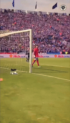 Esteban Paredes Herrera GIF