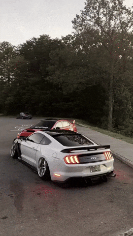 outofluck_club GIF