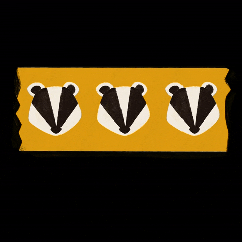 Honey Badger School GIF