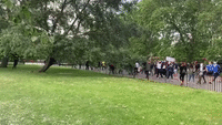 Police Arrest Anti-Lockdown Protesters During Hyde Park Demonstration