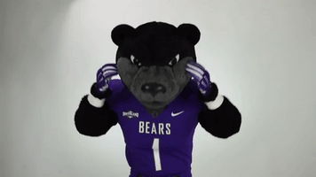 bears bearclawsup GIF by University of Central Arkansas