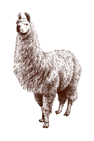 Beestig Jeugdwerk Gent Sticker