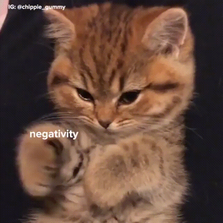 New trending GIF on Giphy