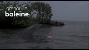 Grenouille Et La Baleine Quã©Bec GIF
