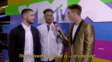 thats exactly what it is pauly d GIF by 2018 MTV Video Music Awards